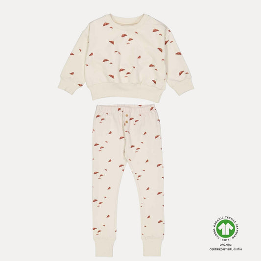 PETRI set